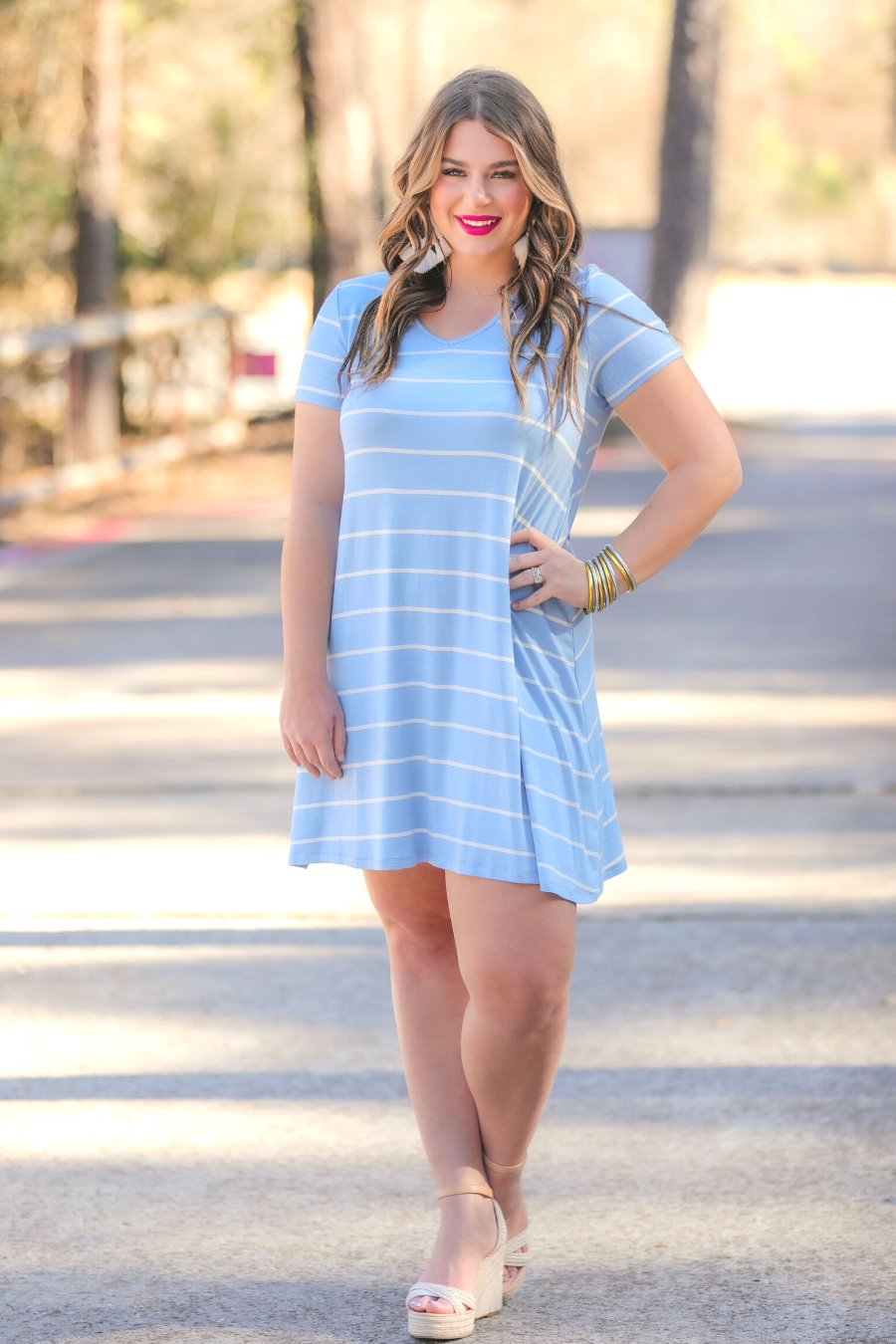 Abby Perfect V-Neck Striped Dress in Chambray